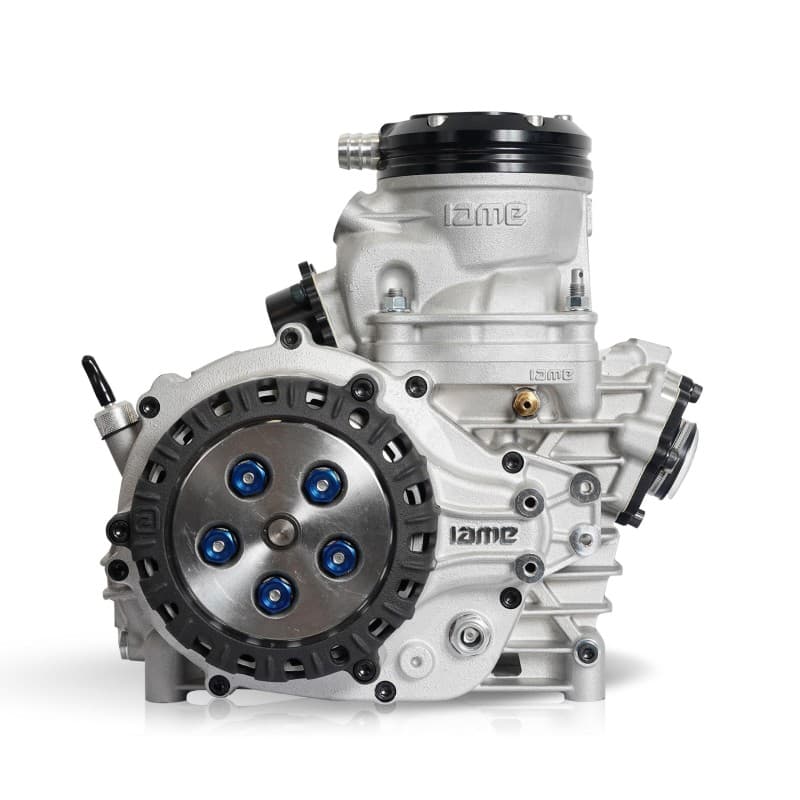 Iame Screamer IV